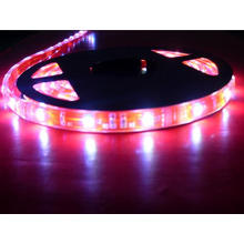 Ws2812b High Quality 12 Volt LED Light Strips